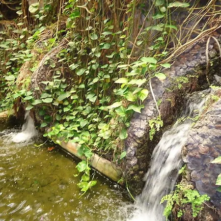 La Fonda Maison d'hôtes Ingenio